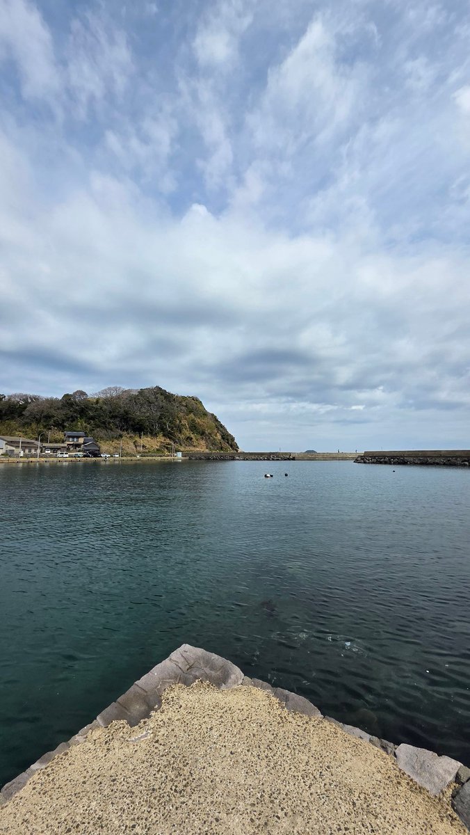 ともこ☆토모코 tweet media