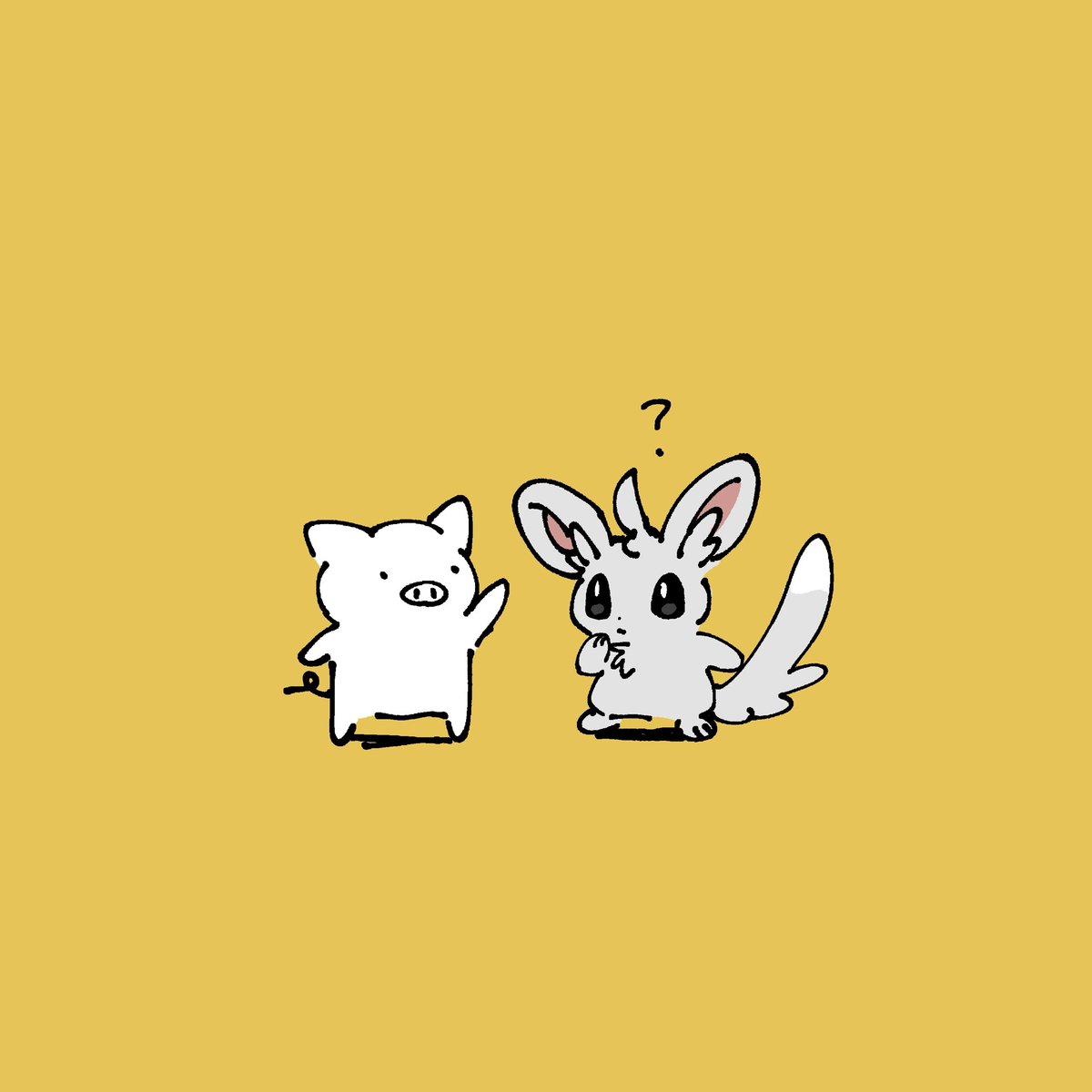coalowl(コールアウル) tweet media