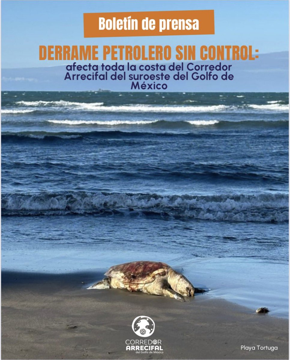 Azucena Uresti tweet media