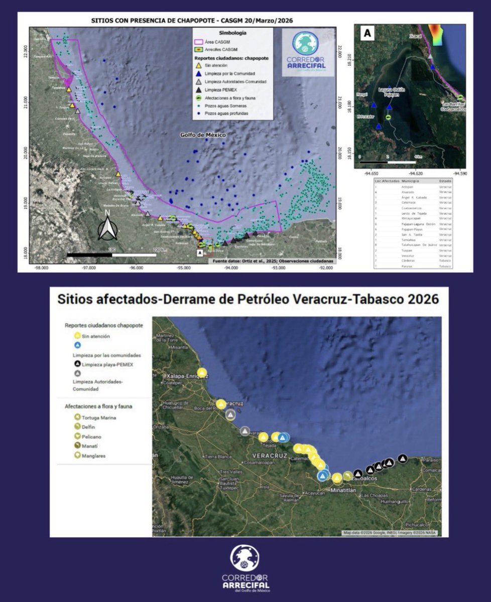 Azucena Uresti tweet media
