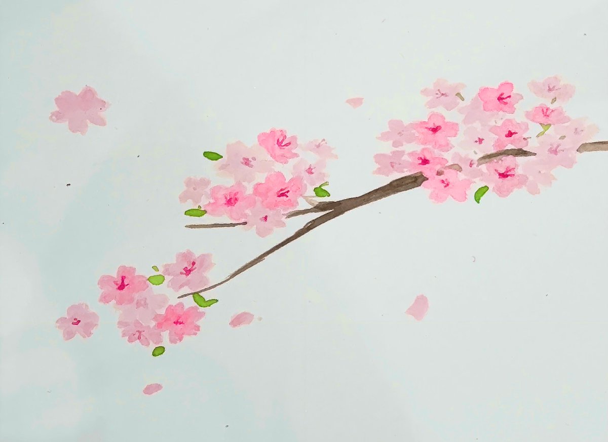 카페인 tweet media