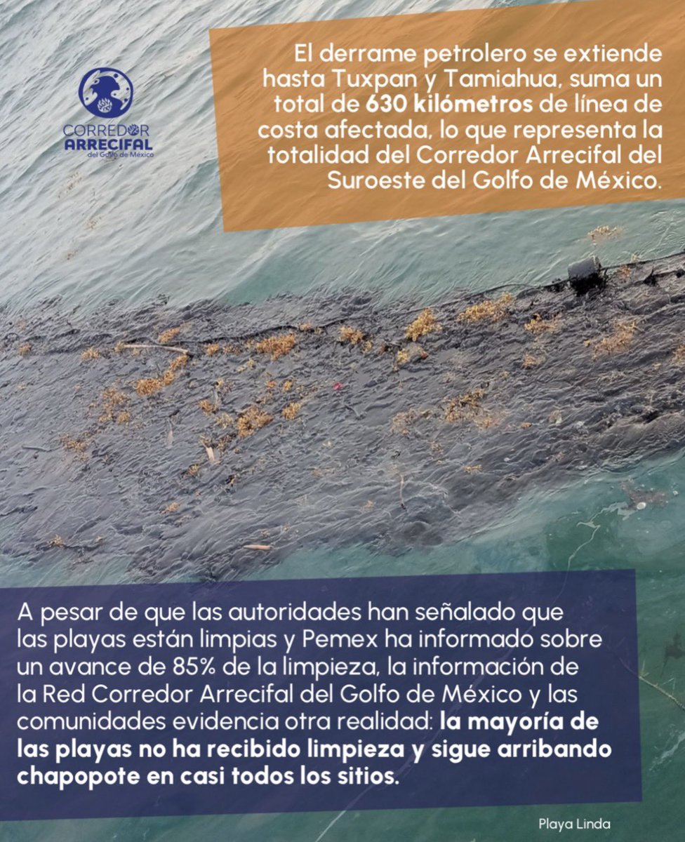 Azucena Uresti tweet media