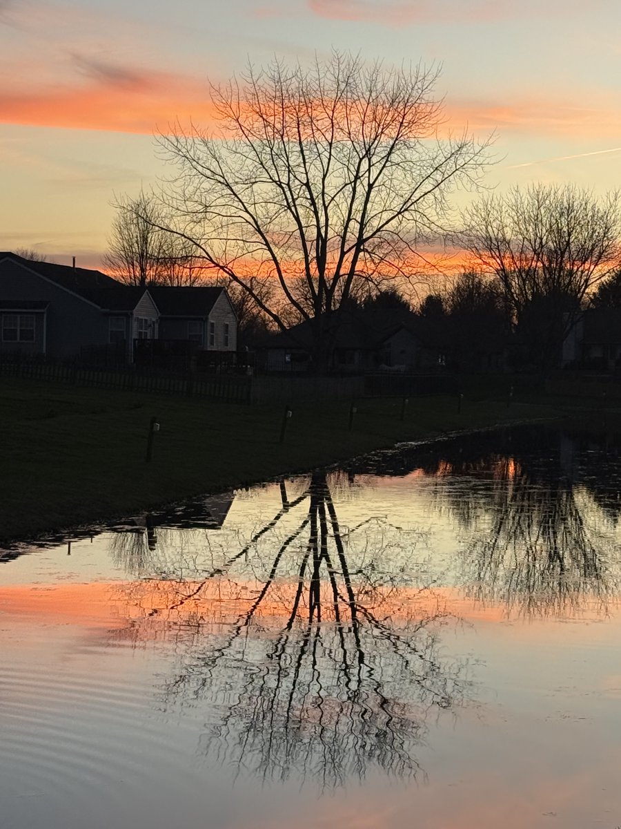 Sherry Renaud 🇺🇸🇨🇦 tweet media