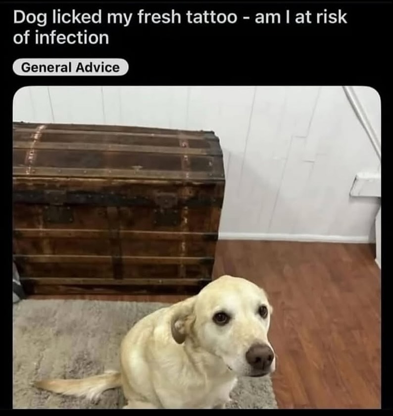 Reddit But Funny tweet media