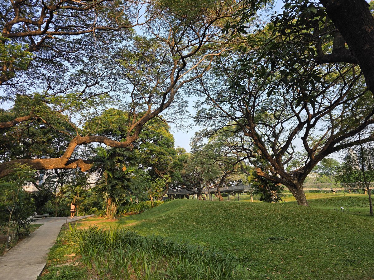 ณิช tweet media