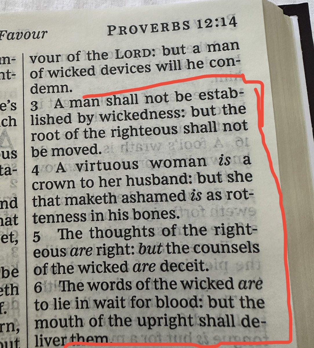 layla ✌️ tweet media