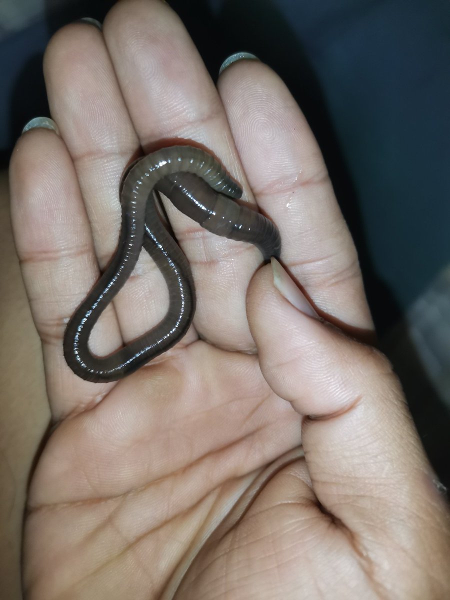 Boy🍆 52🪱🪱🪱 tweet media