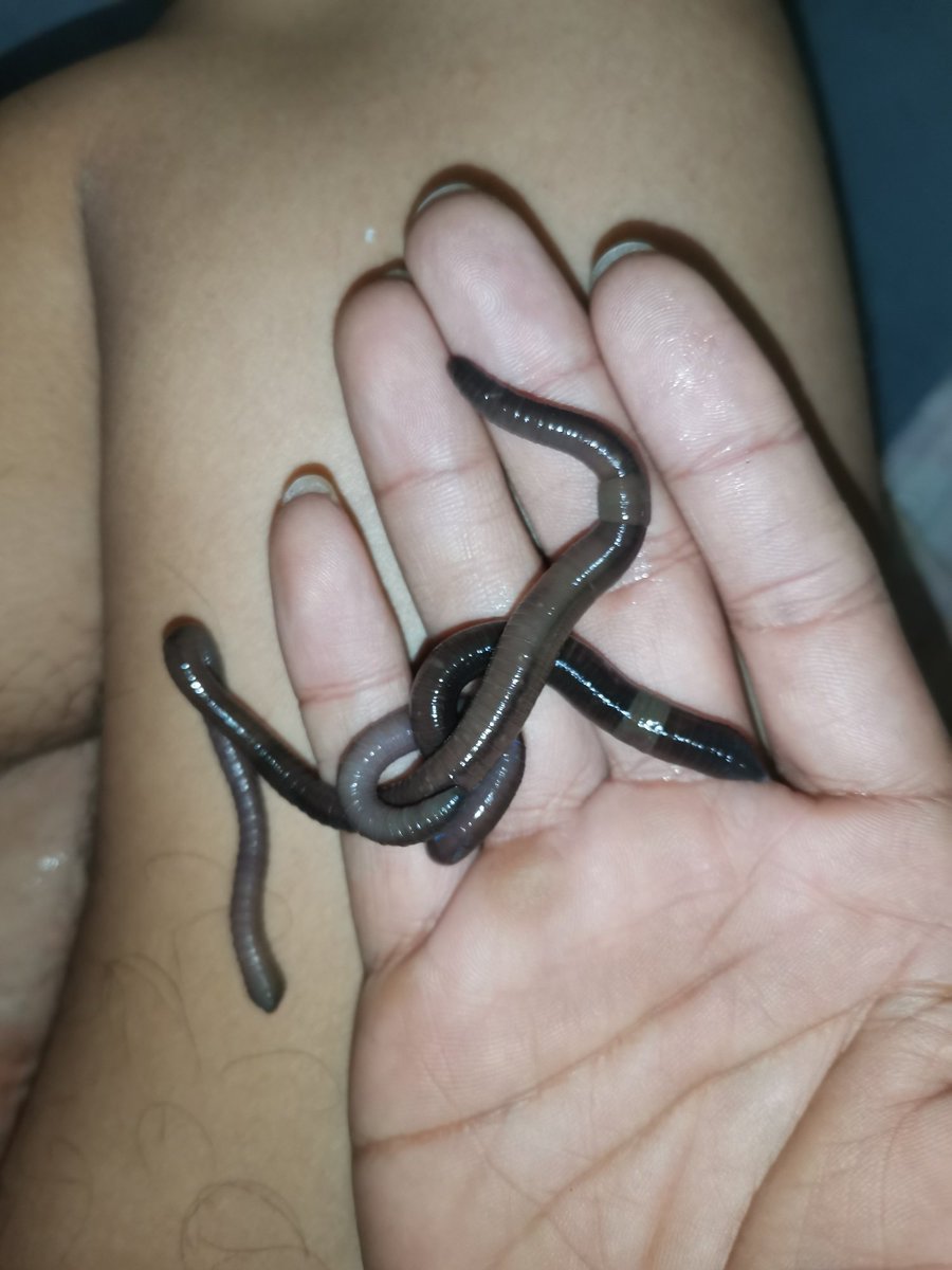 Boy🍆 52🪱🪱🪱 tweet media