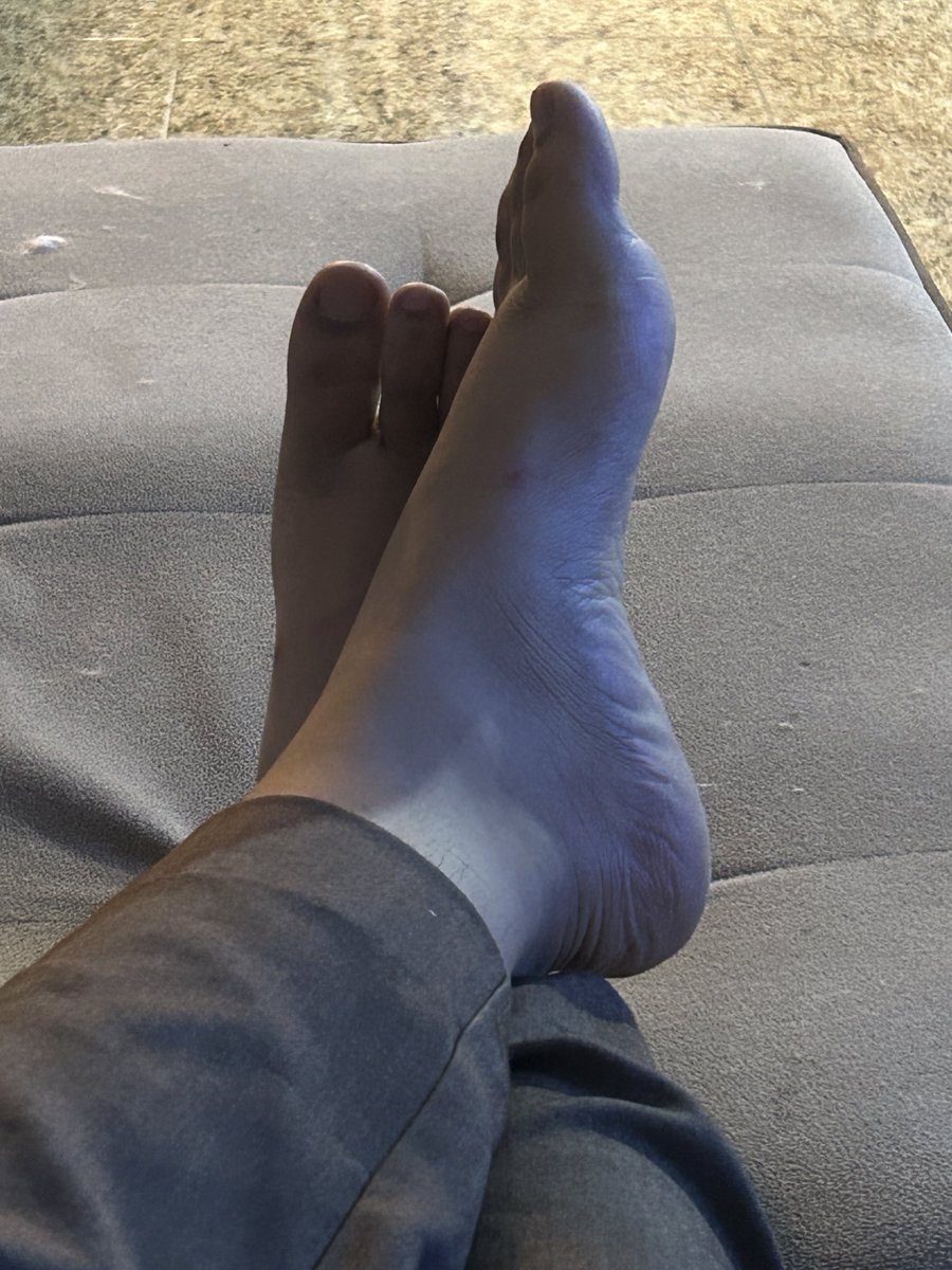 lily tweet media