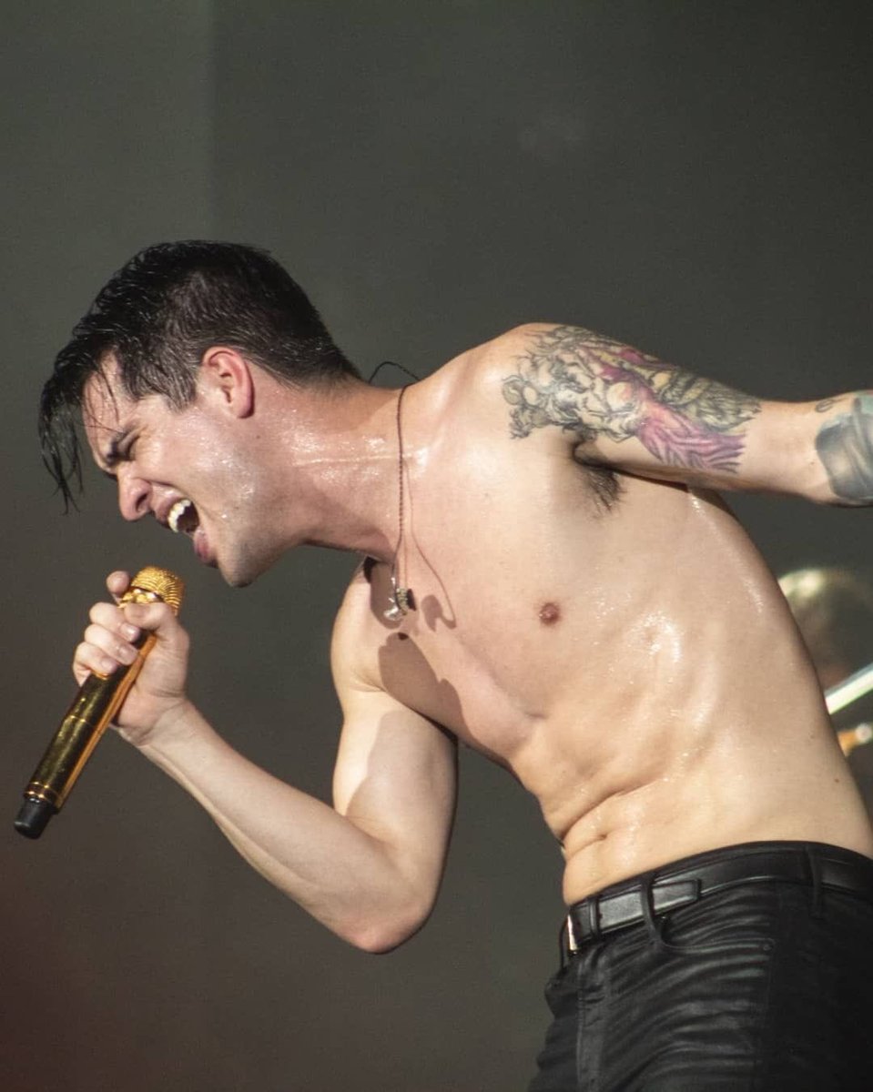 🎱 brendon urie butt luver ꪆ𓏲 tweet media