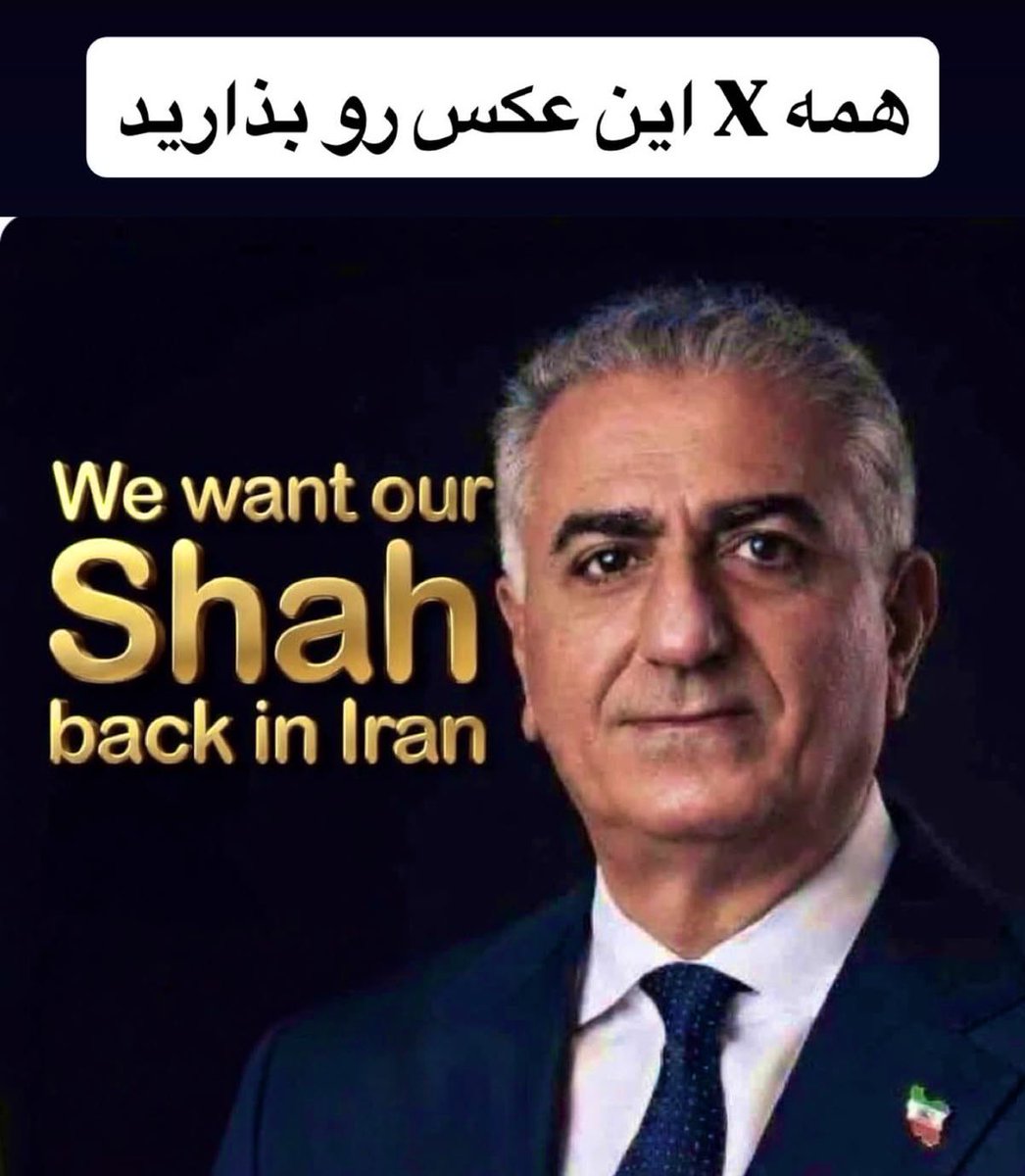 alireza berlin tweet media