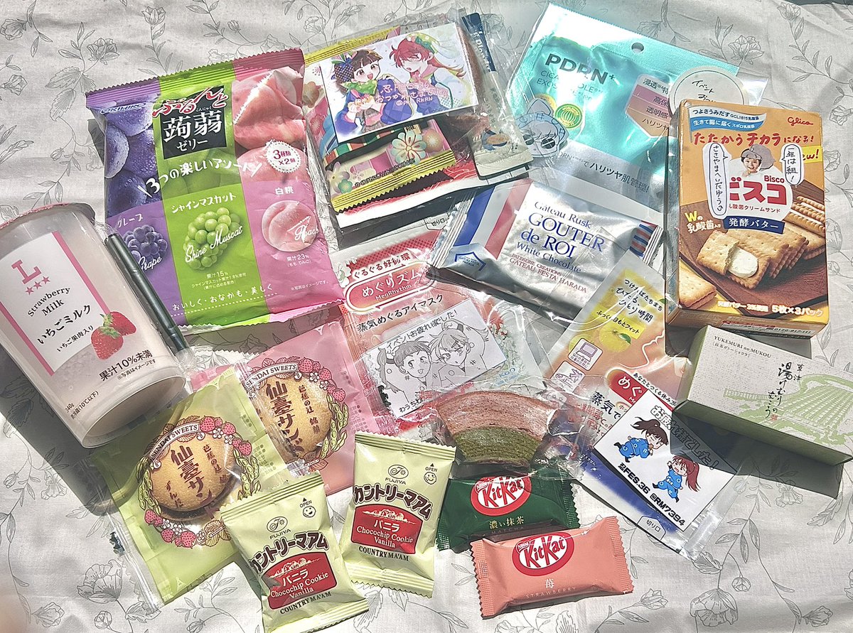 ここちゃん tweet media