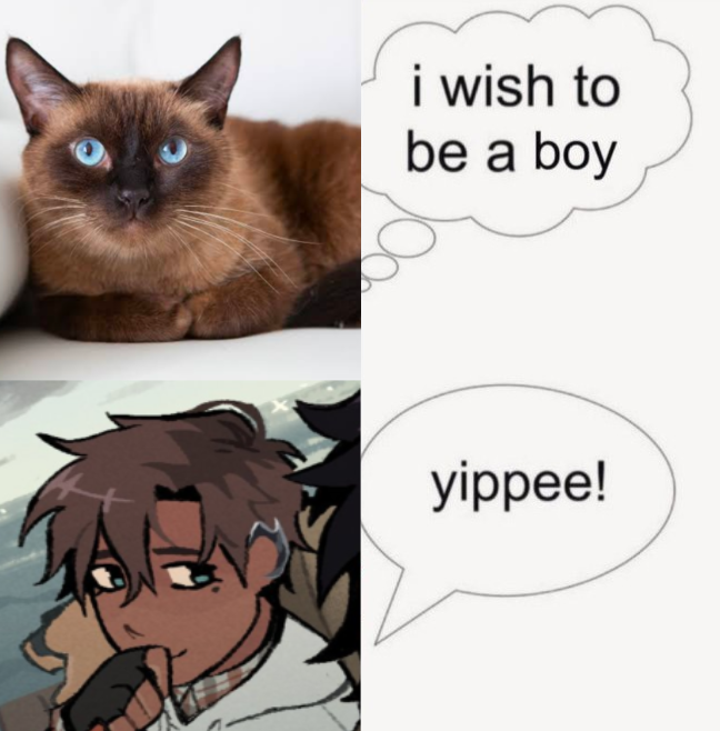 Daily Solace Siblings tweet media