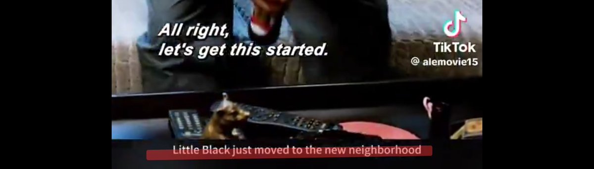 🐢HexTurtleG🍊d🐢 tweet media