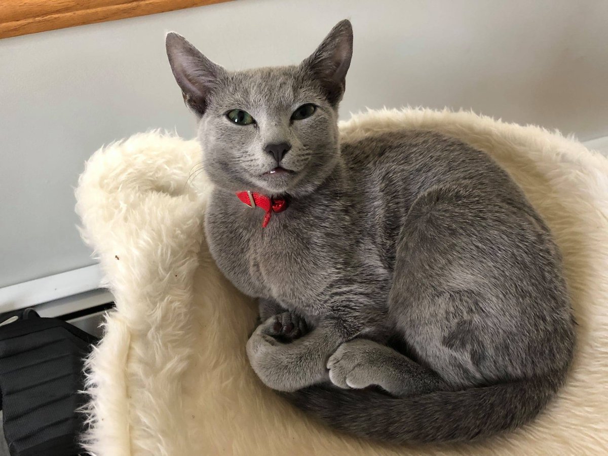 MAGA Republican LI New Yorker, Not NYC Thank God tweet media