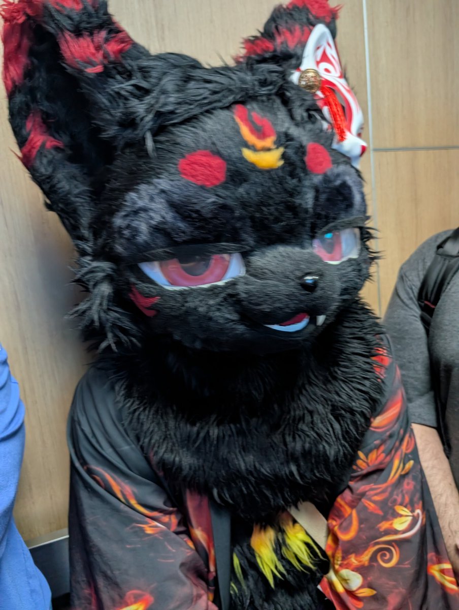 紀州の関東人(Kisyu)/キセノン Xenon 🐶→寺 tweet media