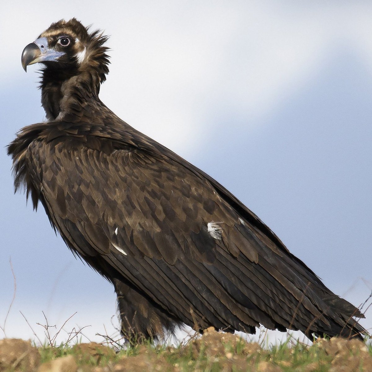 Alina ☀️ chronically offline tweet media