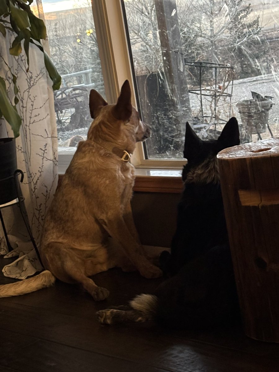 Kevin Booth tweet media