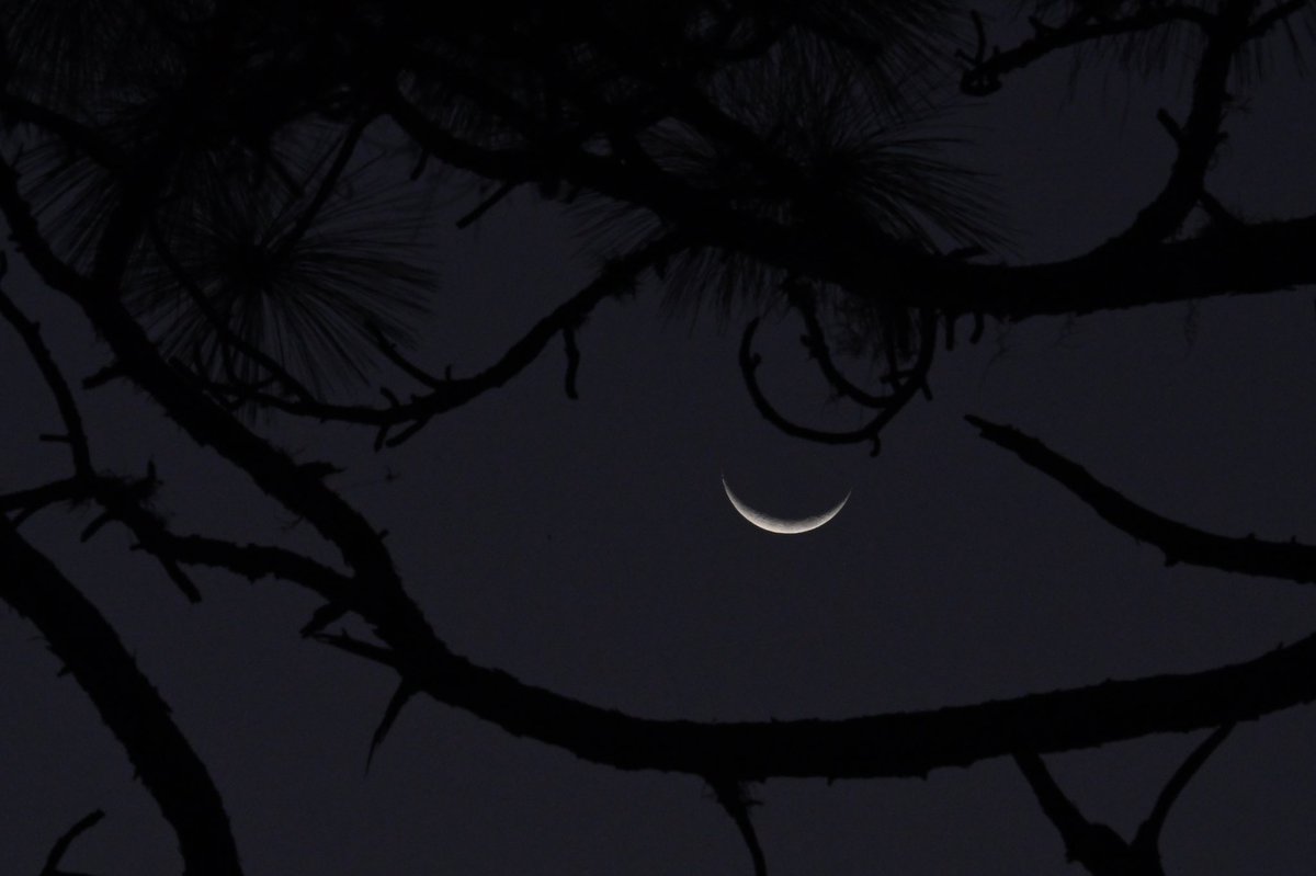 PicturesByLily tweet media