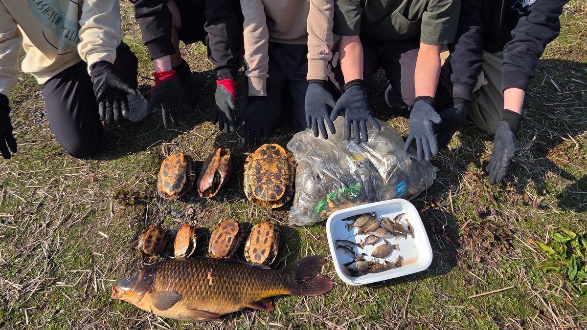 マーシーの獲ったり狩ったり tweet media