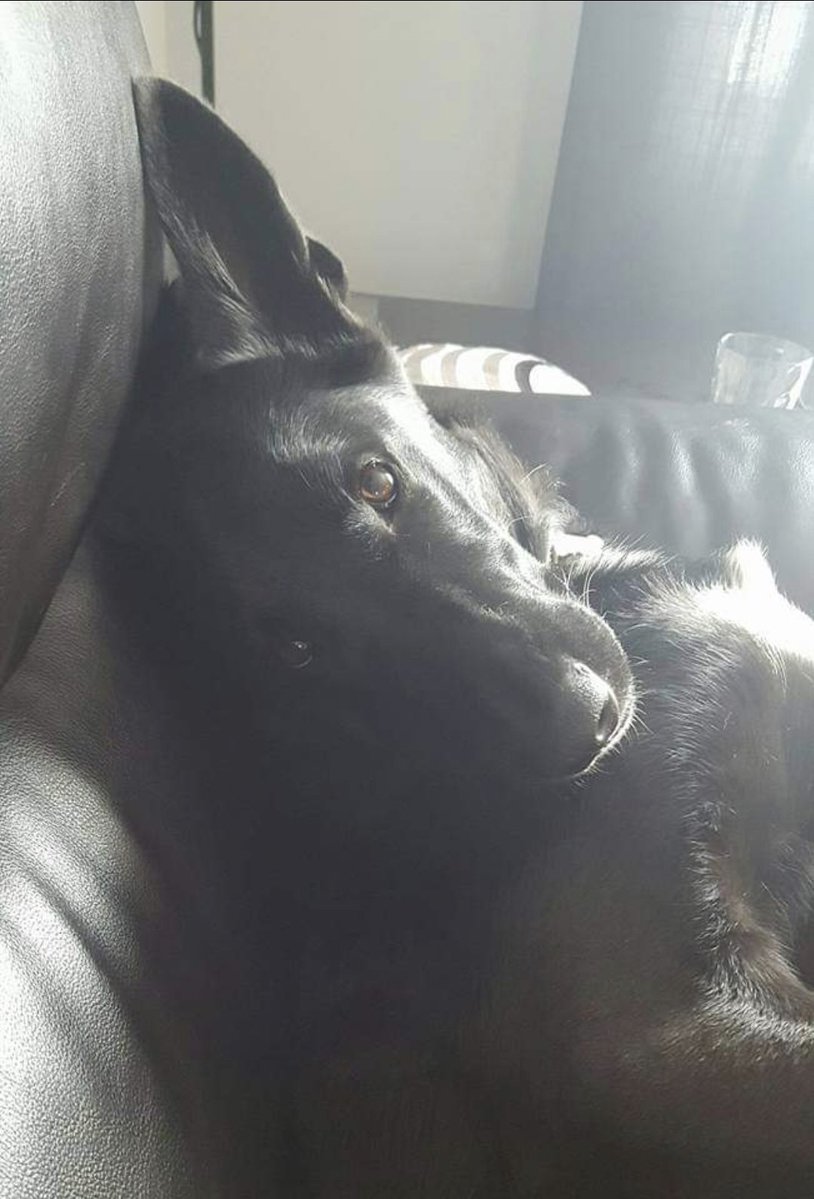 tracyarmstrong tweet media