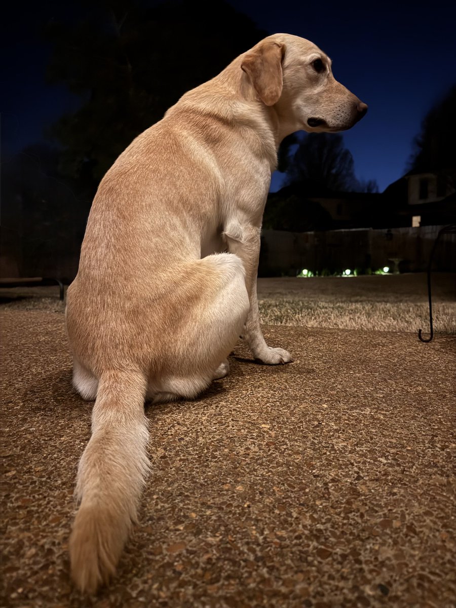 Concrete tweet media