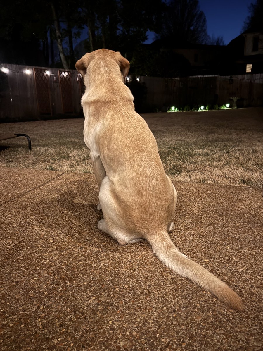 Concrete tweet media