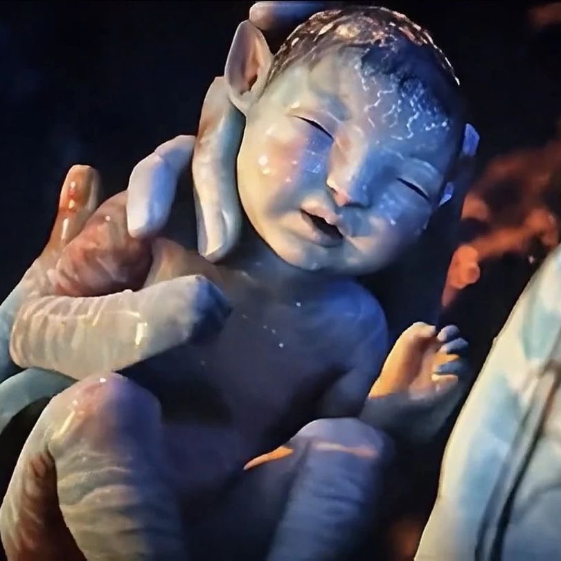 daily pril ˚˖𓍢ִ໋❀ tweet media