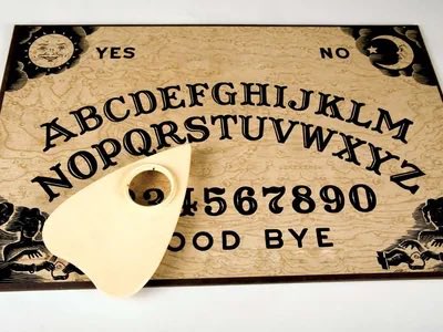 🪻🌼🌷 Lo 🌷🌼🪻🦎 tweet media