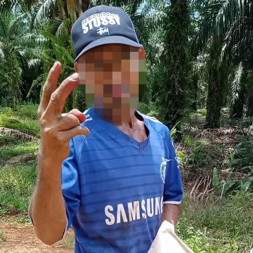 aril piterpen tweet media