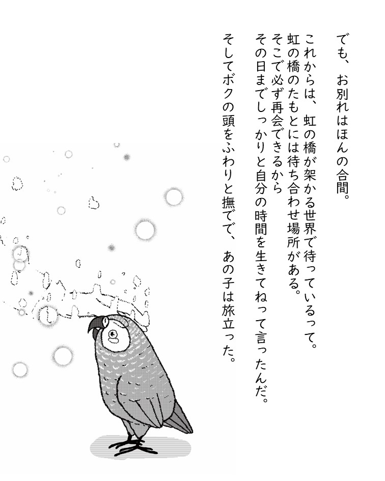 鳥美術部（Bou） tweet media