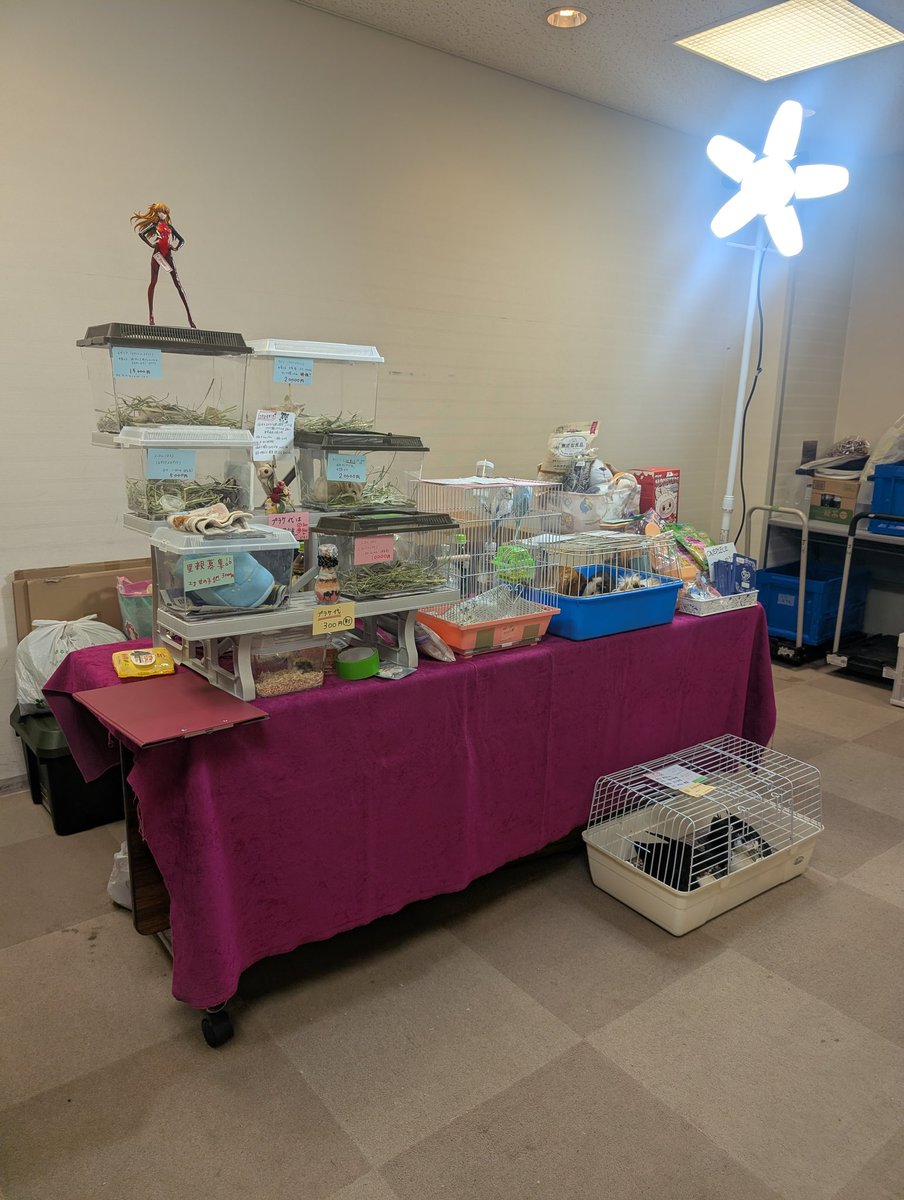 Famille Fun tweet media