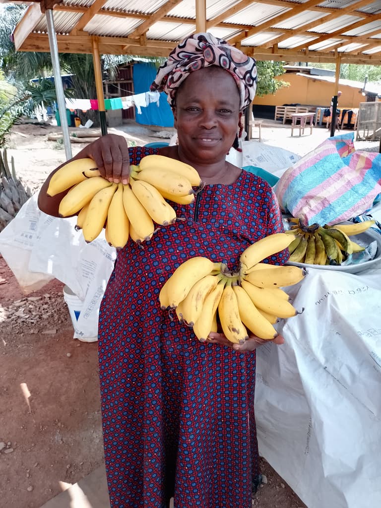 ANDREW ROLAND OBOSU tweet media