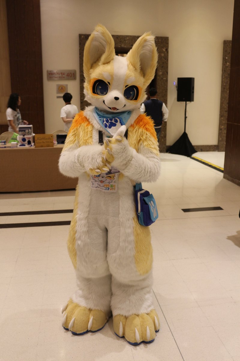 是政　KOREMASA tweet media