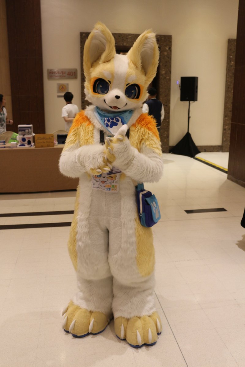 是政　KOREMASA tweet media