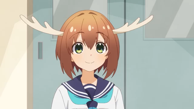 nokotan hourly tweet media