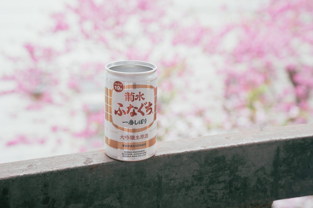 菊水酒造（公式） tweet media