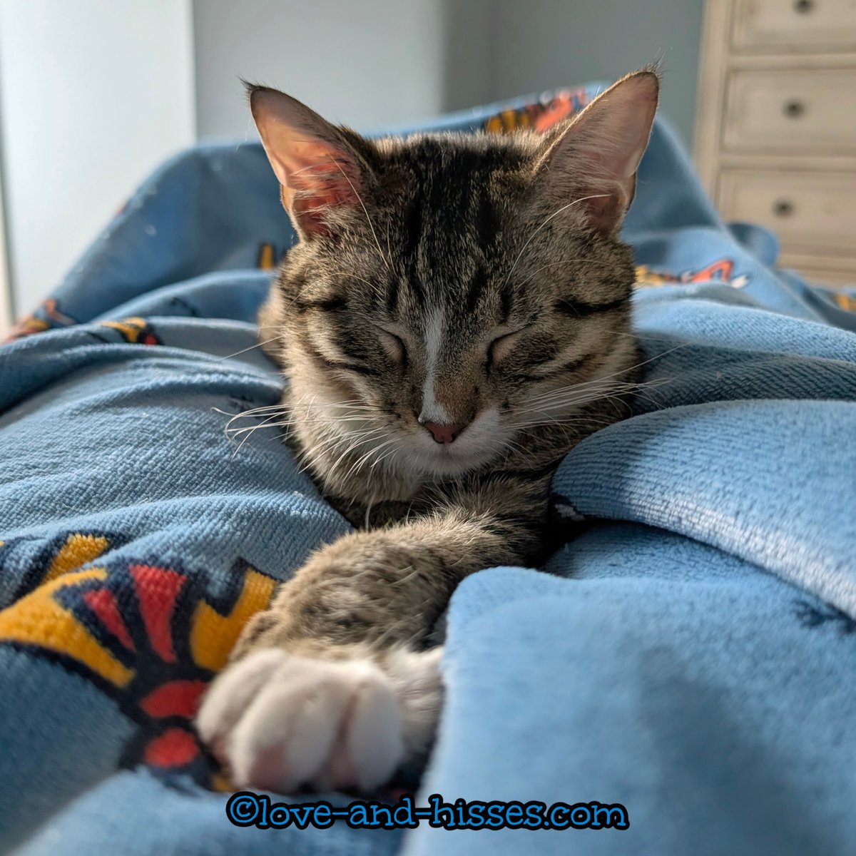 Robyn Anderson tweet media