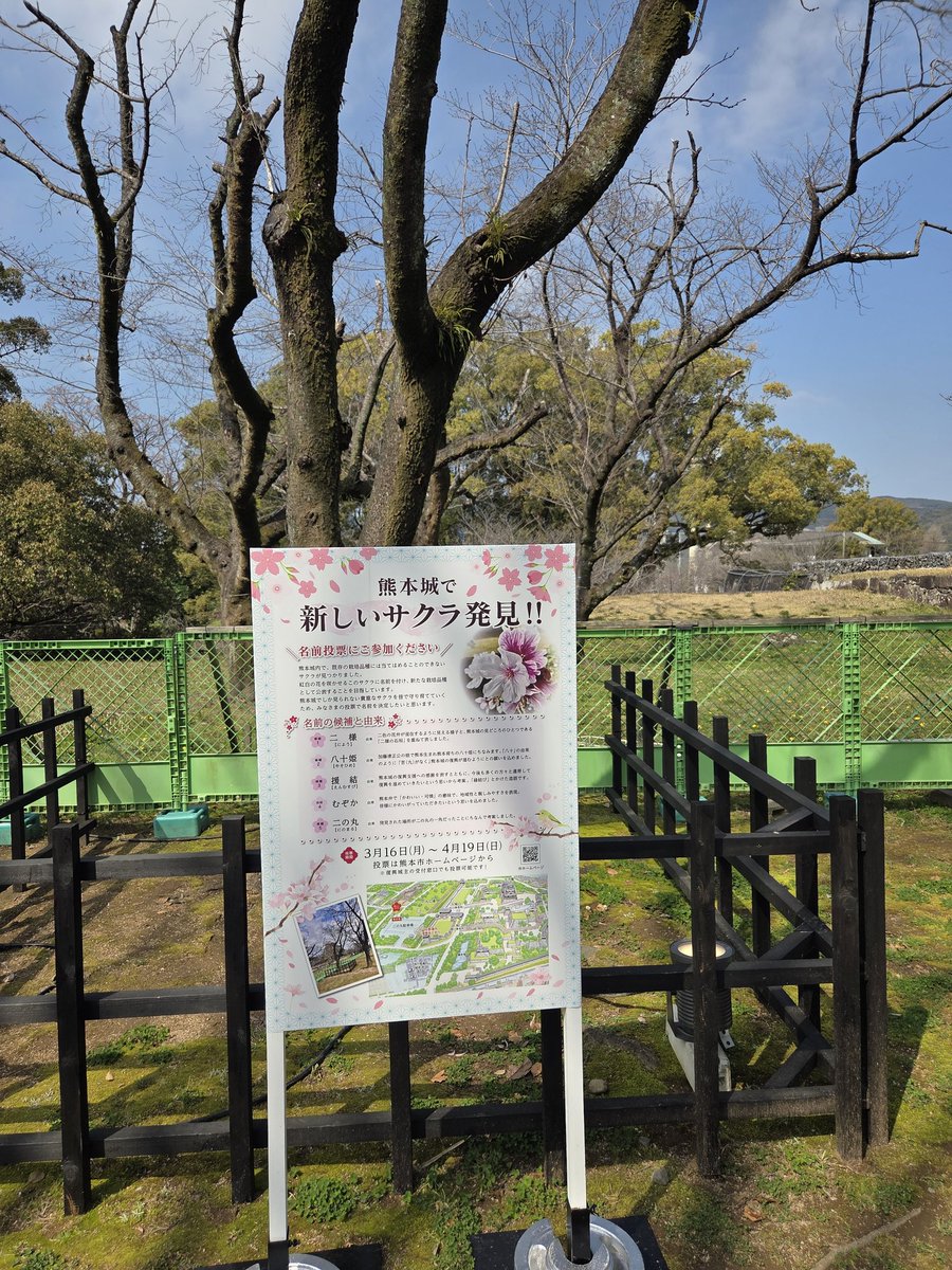 02Singo17ya's tweet photo. 観光地で新種？が見つかることなんてあるんだ～長年誰も気がつかないのも逆にビックリ！ https://t.co/WF2ZjFeVz5