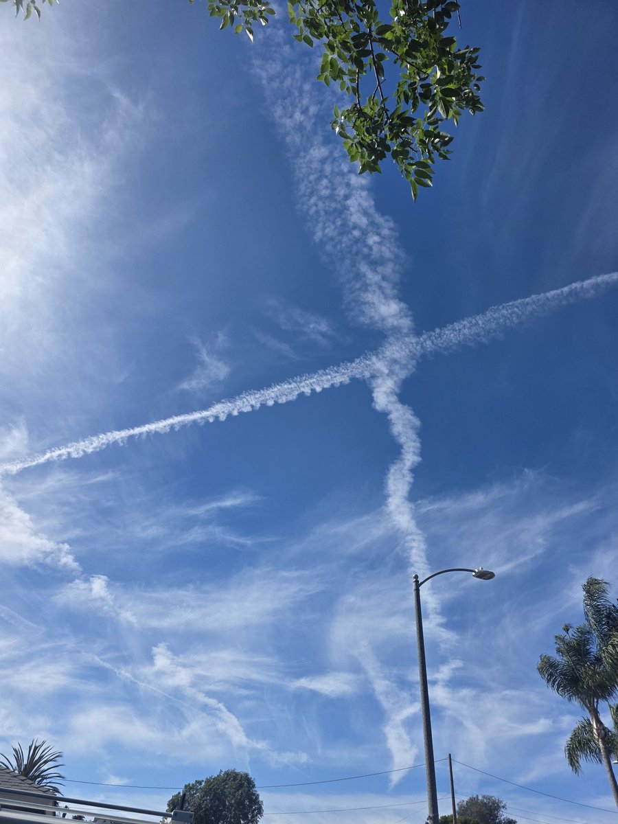 @Mr.Chemtrail tweet media