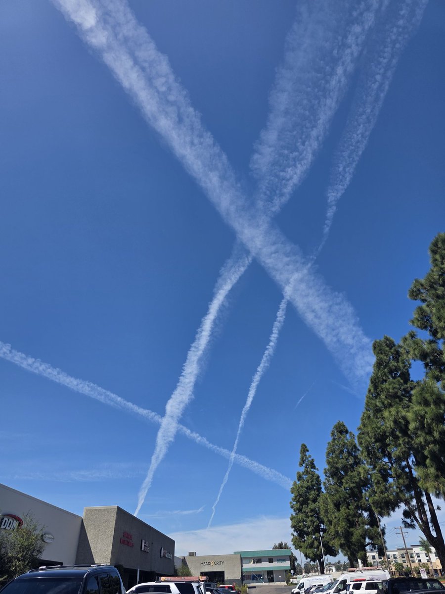 @Mr.Chemtrail tweet media