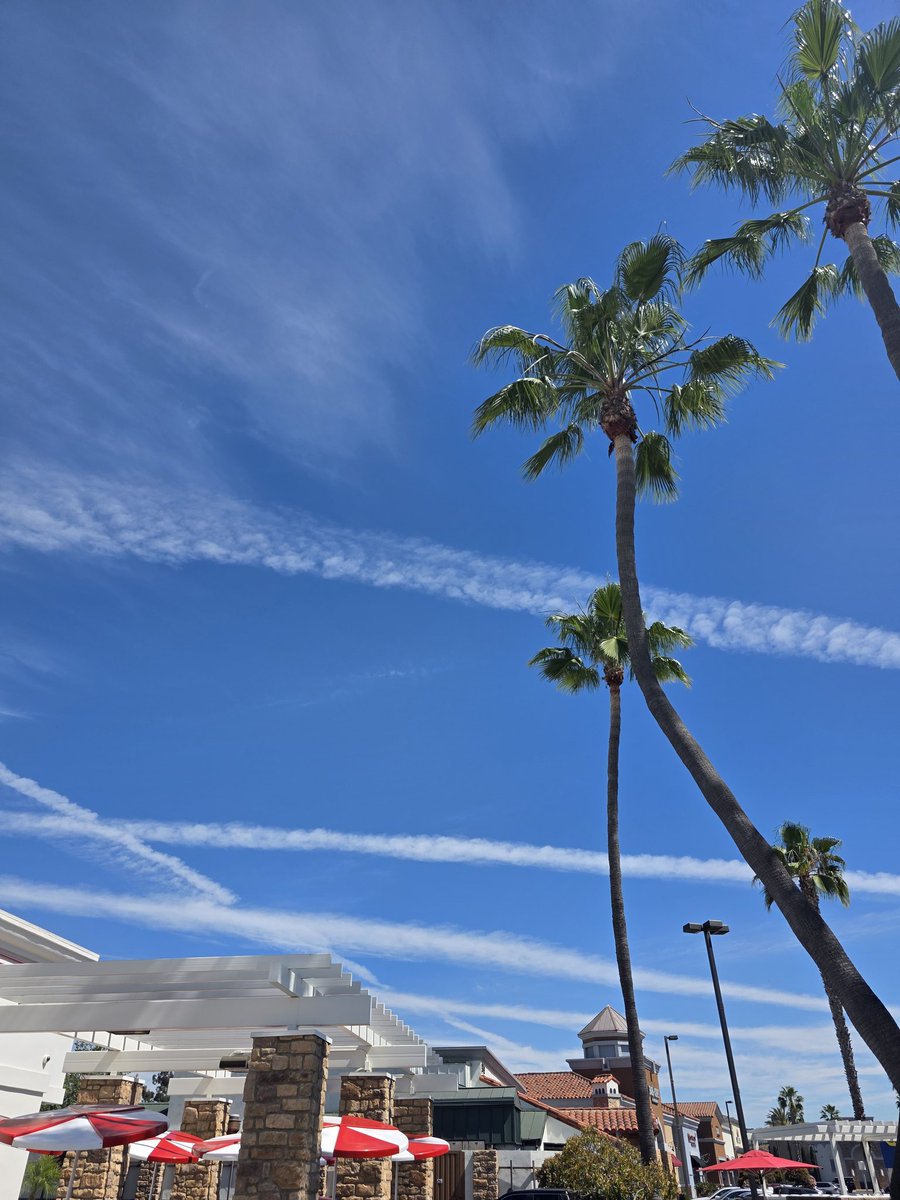 @Mr.Chemtrail tweet media