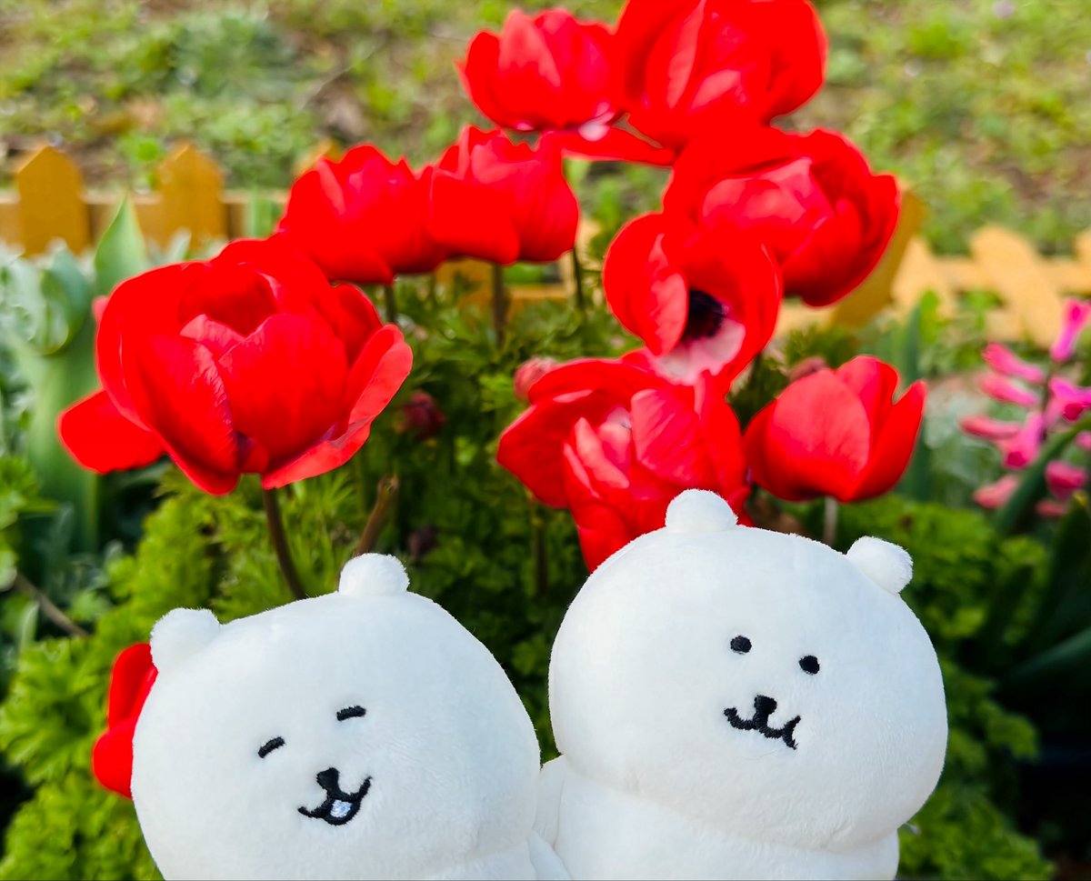 しぽぽ೨⁾⁾ tweet media