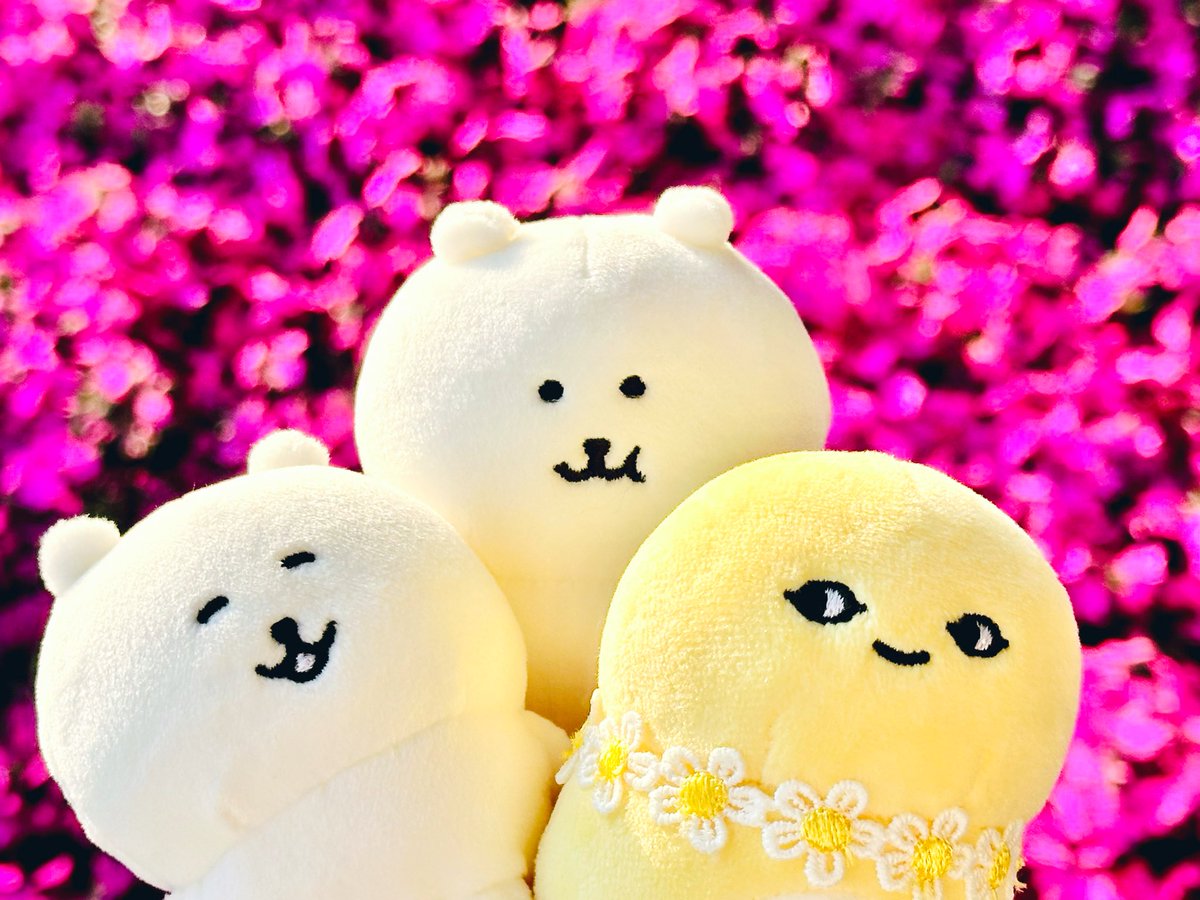 しぽぽ೨⁾⁾ tweet media