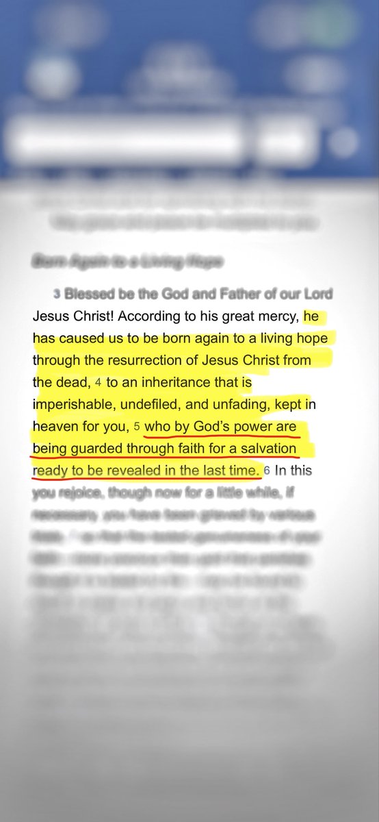 A.D. Whitman tweet media