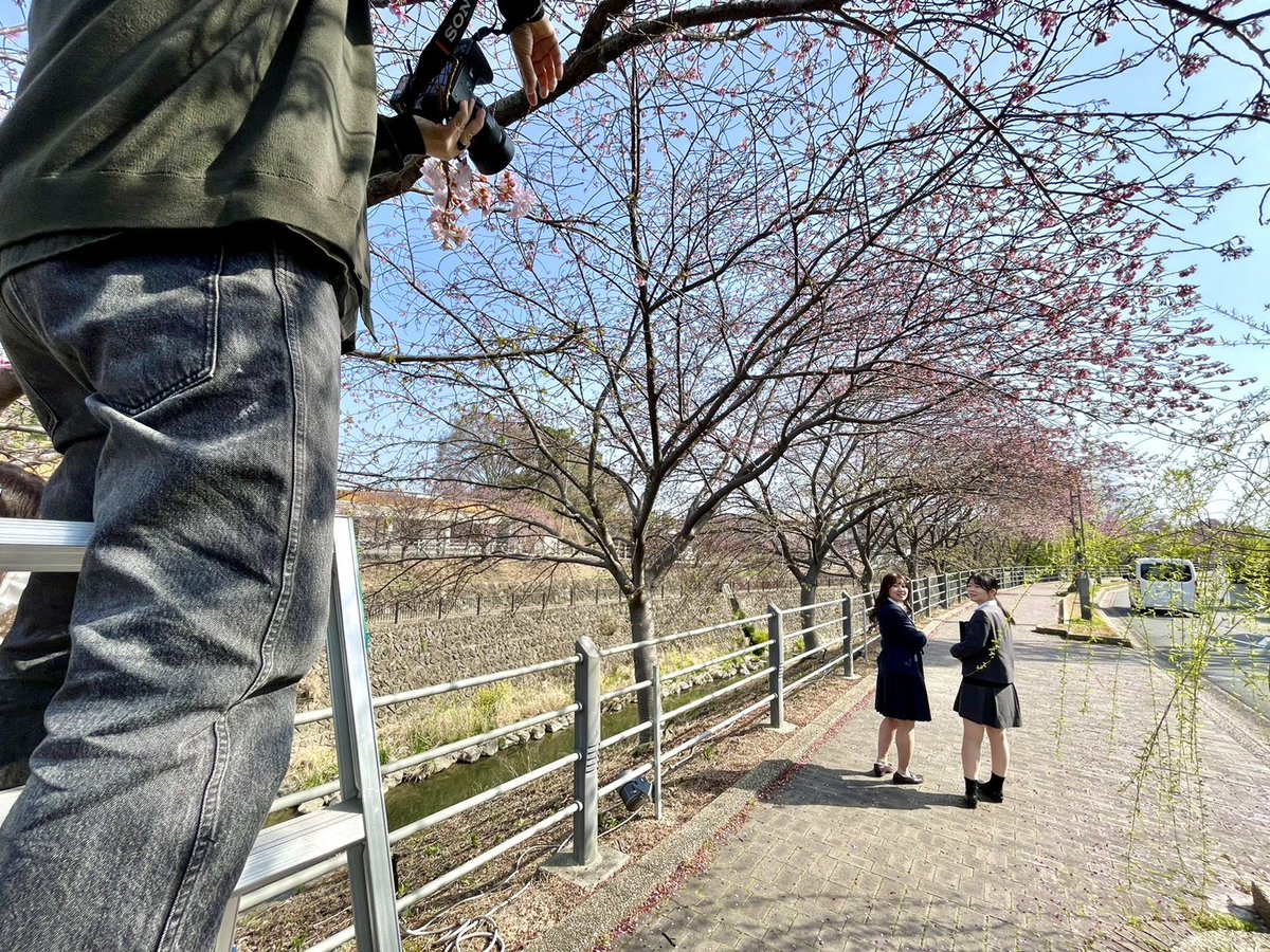 福田カメラ|掛川福田スタジオ 【公式】753前撮り開催中 tweet media