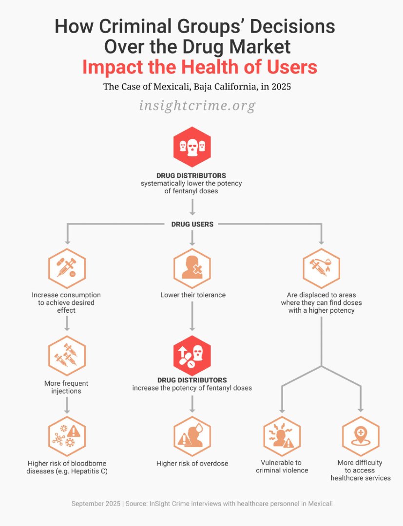 InSight Crime tweet media
