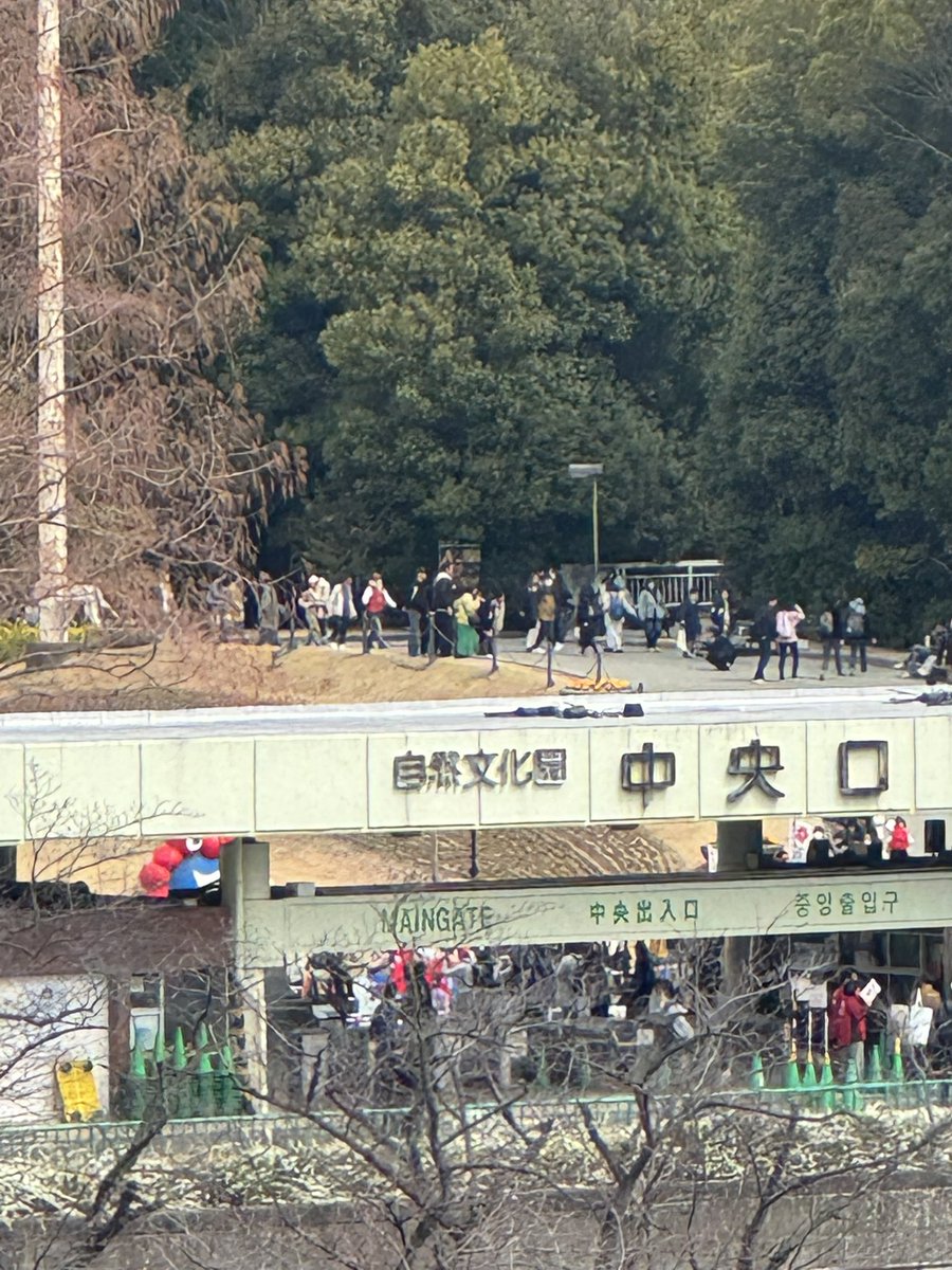 バグ・バズ tweet media