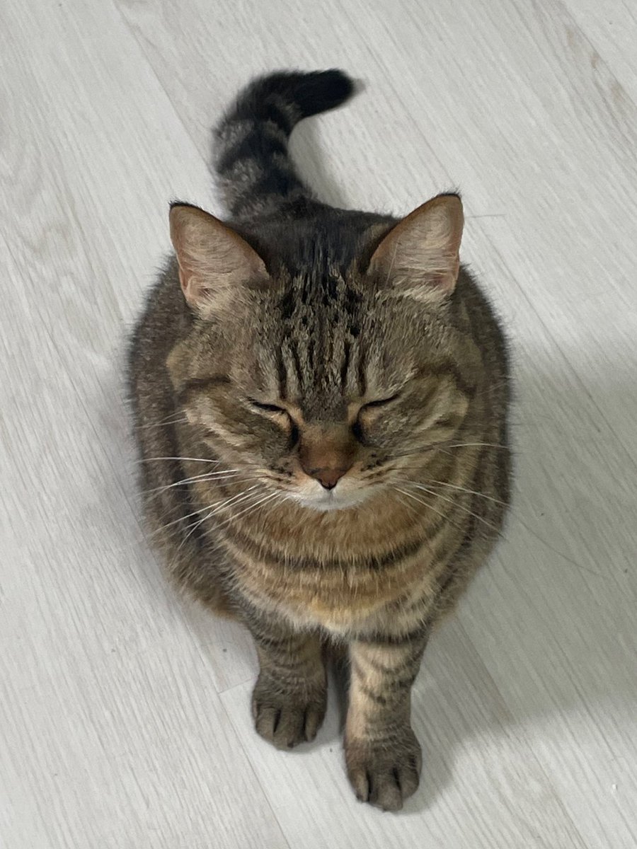 b4ngwooool's tweet photo. 집에 일찍 들어갔더니 나 오는 소리도 못 듣고 자다가 헐레벌떡 나와서 눈도 못 뜨고 하품하다가 혀도 못 넣고 이러구 있어 잉🥹🥹🥹🥹🥹🥹🥹🥹 https://t.co/dVvX6Gl3jD