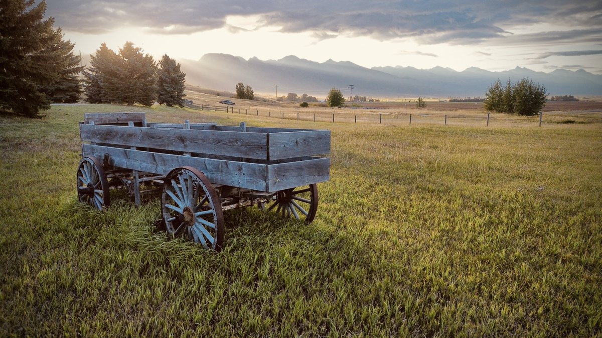 Steven Alexander tweet media